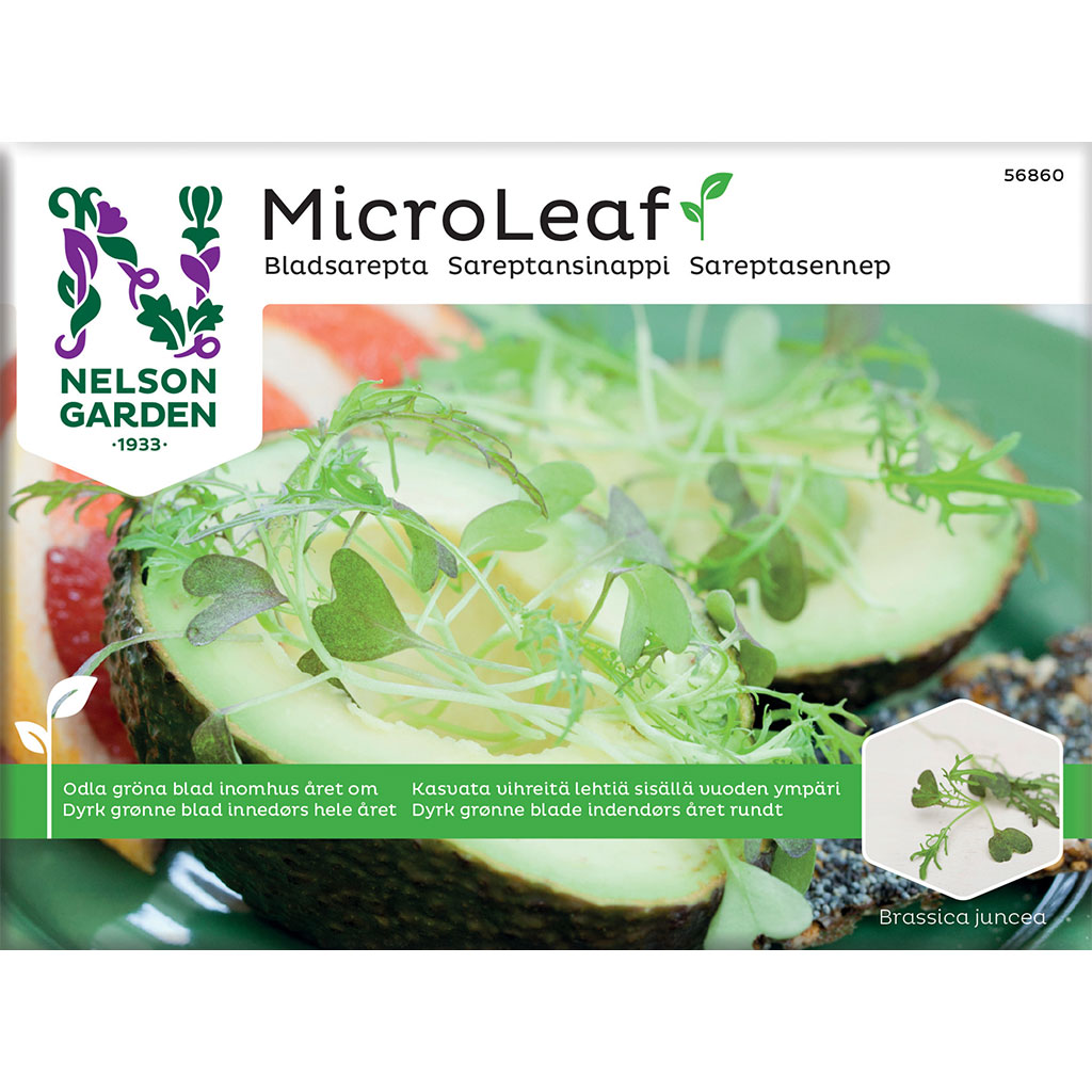 Micro Leaf sareptansinappi Nelson