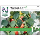 Micro Leaf vihanneskrassi Nelson