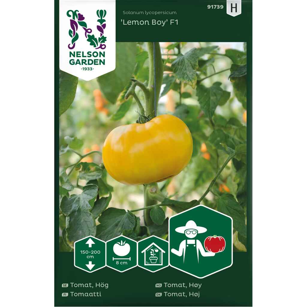 Pihvitomaatti 'Lemon Boy' F1