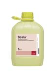 Scala