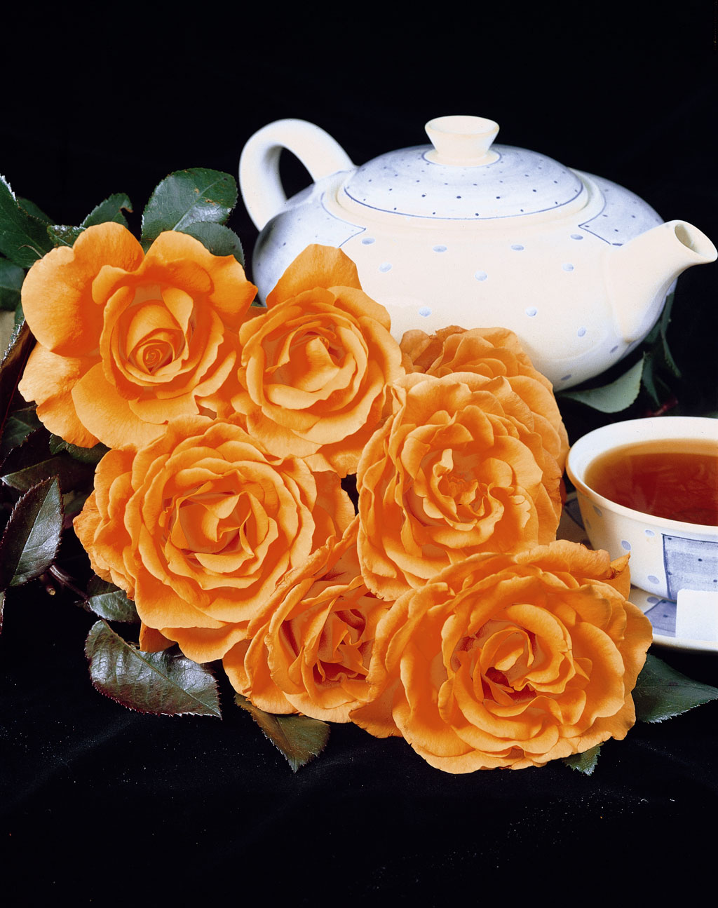 Ruusu Tea Time Tantop Royal