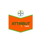 Attribut Twin