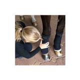 Back on Track Scandic pintelinpatjat