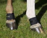 Back On Track Vuohissuojat