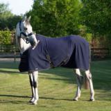 Loimi Back on Track Quick Cooler