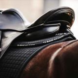 Back on Track Aurora romaani