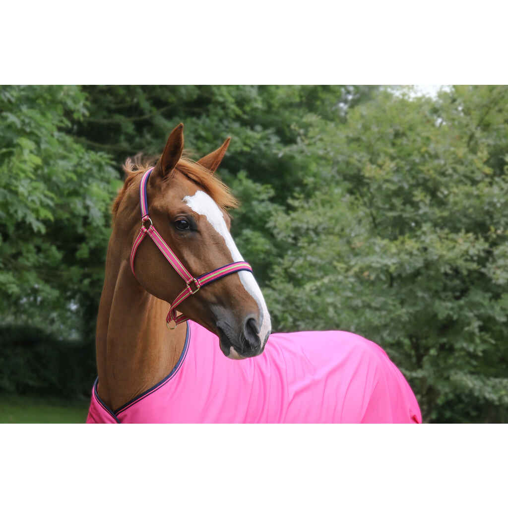 Bucas Dublin riimu fuchsia