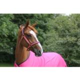 Bucas Dublin riimu fuchsia