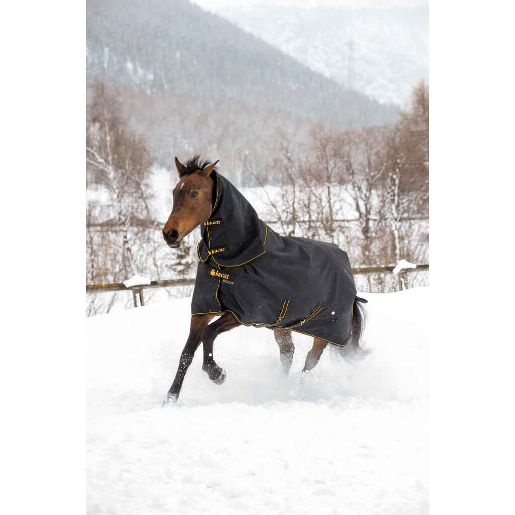 Bucas Irish Turnout 50g + kaulakappale 135