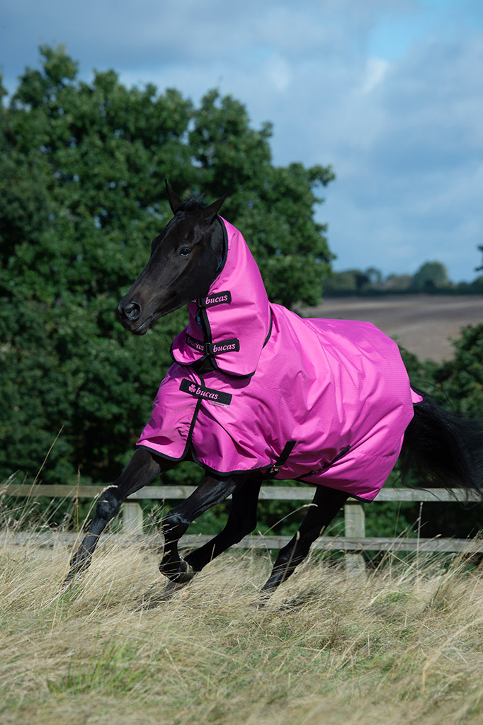 Bucas Freedom Light -sadeloimi pinkki