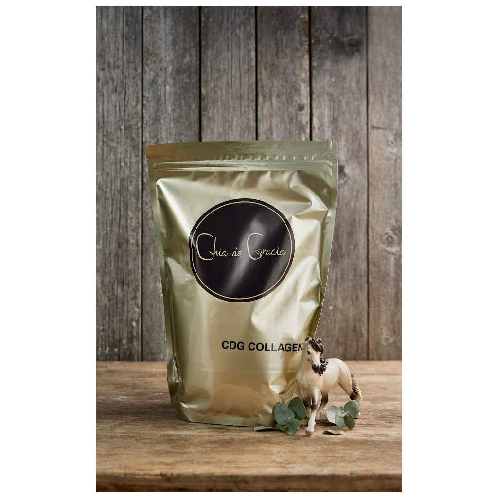Chia de Gracia Collagen +