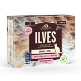 Kissanruoka Dagsmark Ilves 8x80 g kastikkeessa