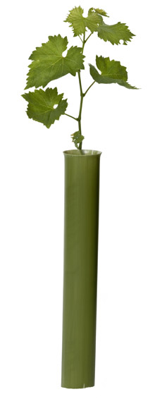 Taimisuojus Ecovine 55 cm