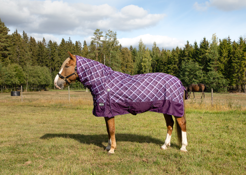 EQCode sadeloimi 150 g, fullneck, violetti ruudullinen