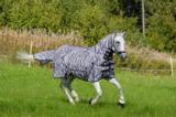 Hyönteisloimi EQCode Zebra