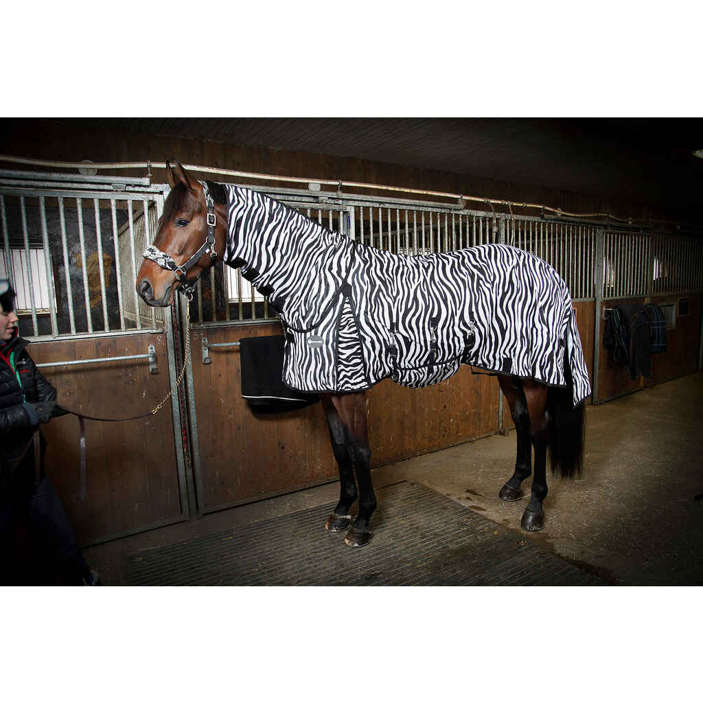 Hyönteisloimi EQCode zebra