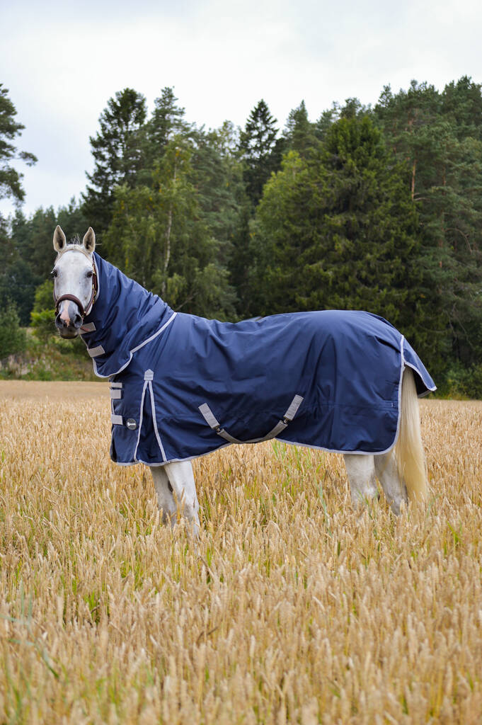 Talviloimi EQCode fullneck 1680D/250g tummansininen