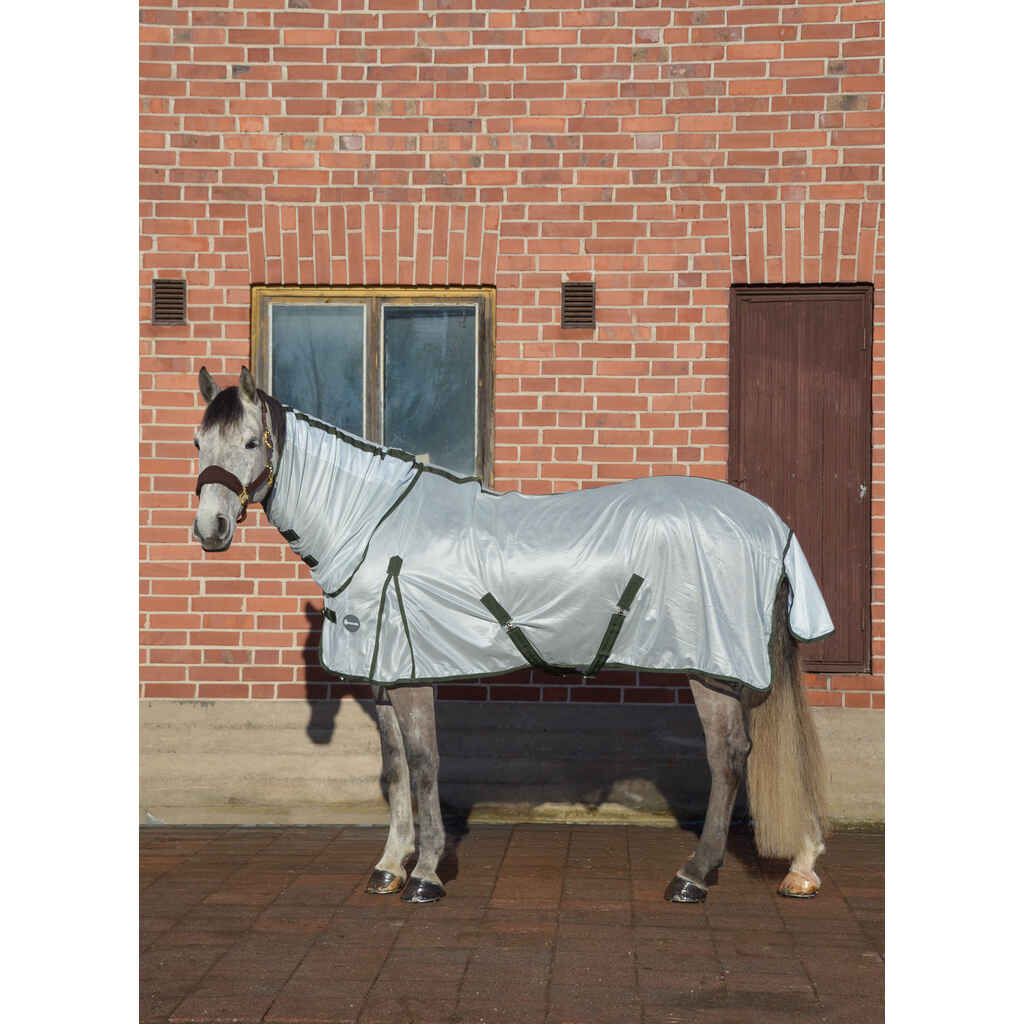 Hyönteisloimi EQCode hopea/vihreä