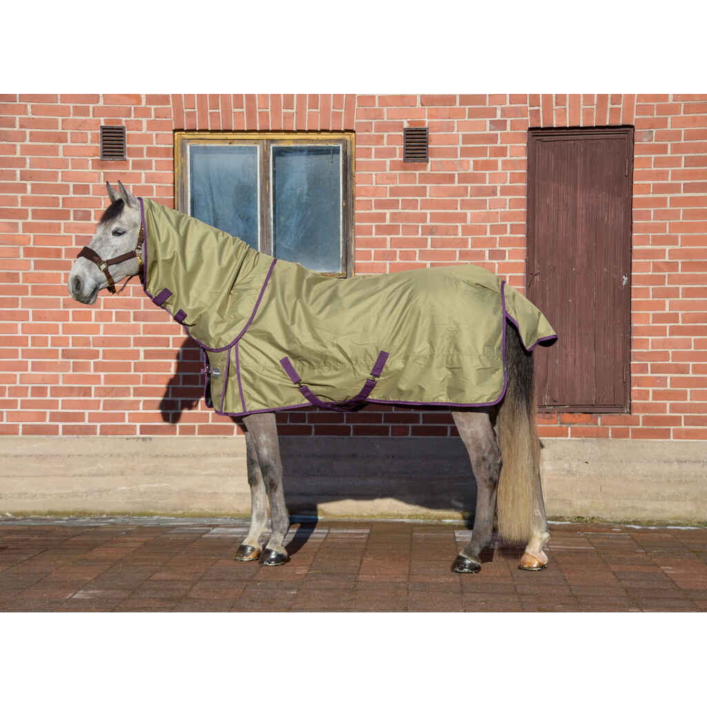 Sadeloimi ja kaulakappale EQCode 50 g oliivi