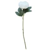 Pioni oksa 51 cm valkoinen