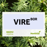 Vire puhdas härkäpapu 800 kg