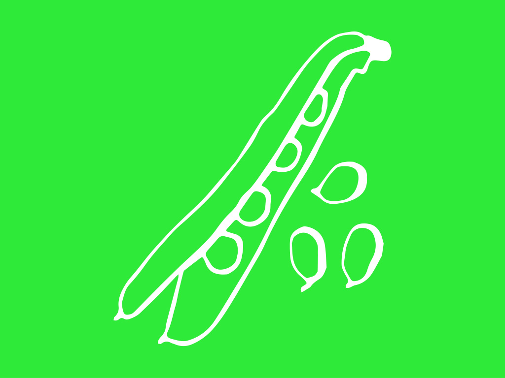 Härkäpapu