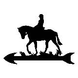 Tuuliviiri ratsastaja