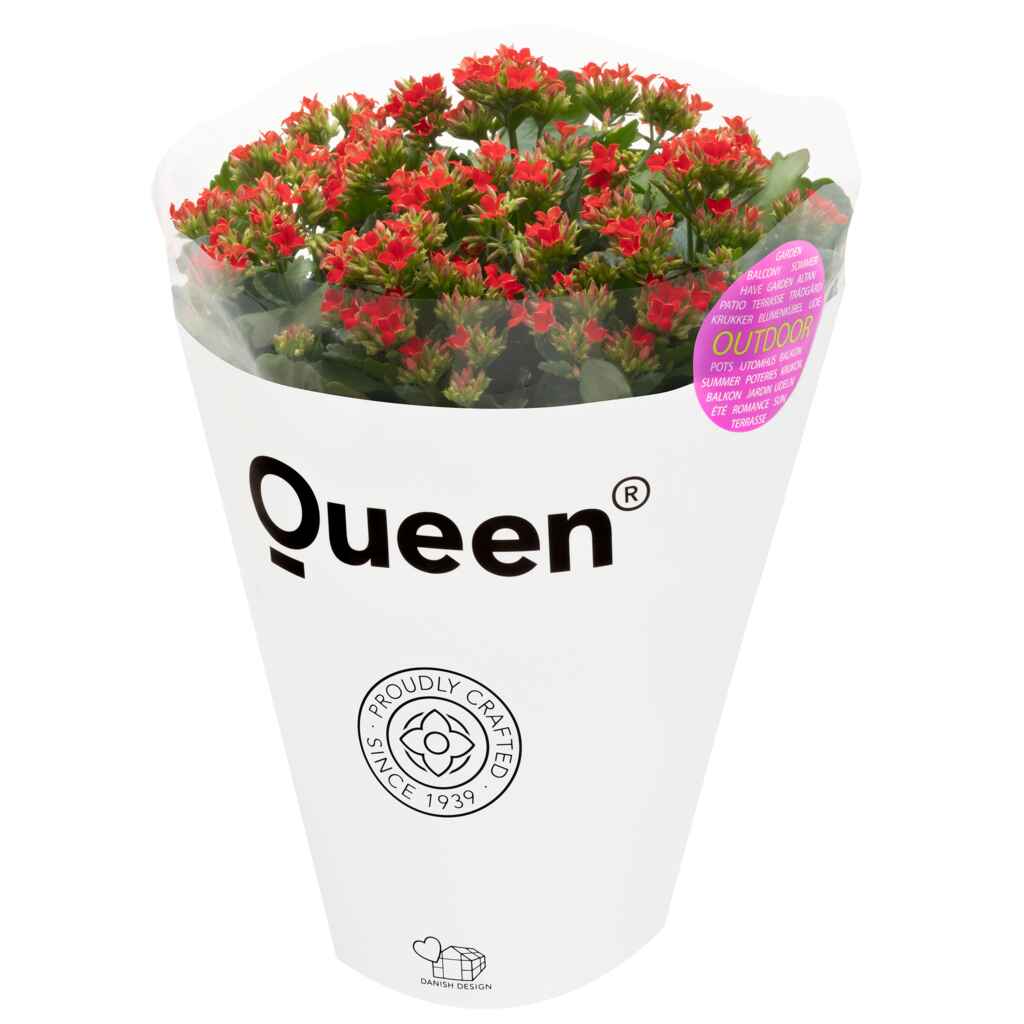 Ulkotulilatva Queen punainen