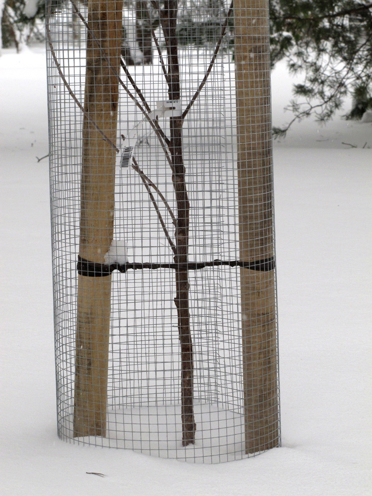 Myyräverkko 1,20 x 25 m