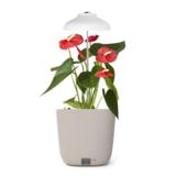 Strömsö yrttiruukku kasvivalolla