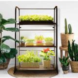 Strömsö yrttihylly 78