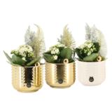 Tulilatva keramiikassa