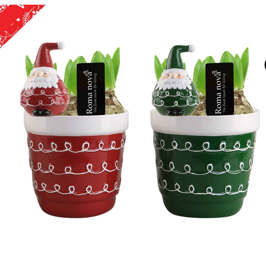 Iloisessa joulupukkiruukussa hyasintteja