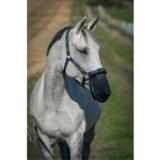 Horze ötökkäsuoja turvalle