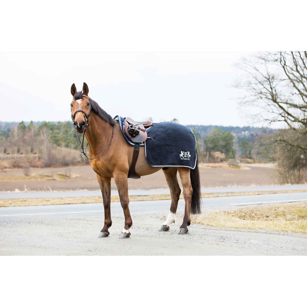 B Vertigo Concord ratsastusloimi