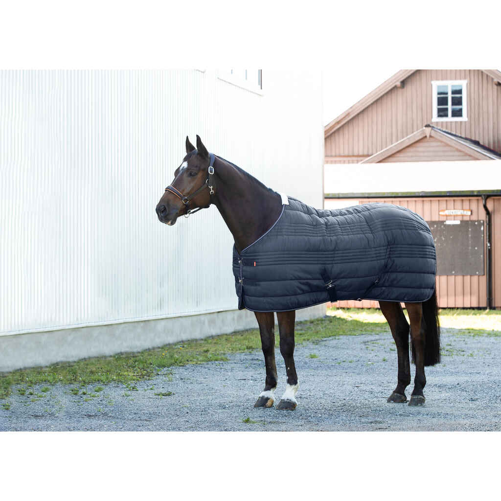 Horze Kingsley talliloimi 150g