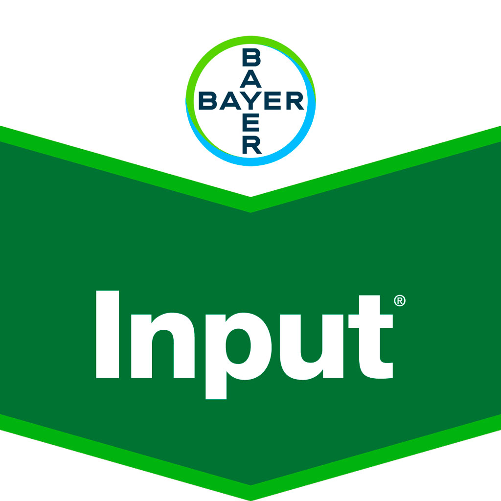 INPUT SC 460 5 L