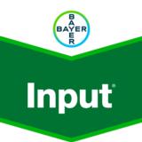 Input 5 l