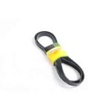 Moottorin apulaitehihna, R529389