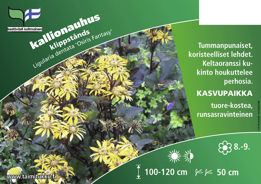 Kallionauhus Osiris Fantasy