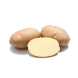 Siemenperuna Innovator