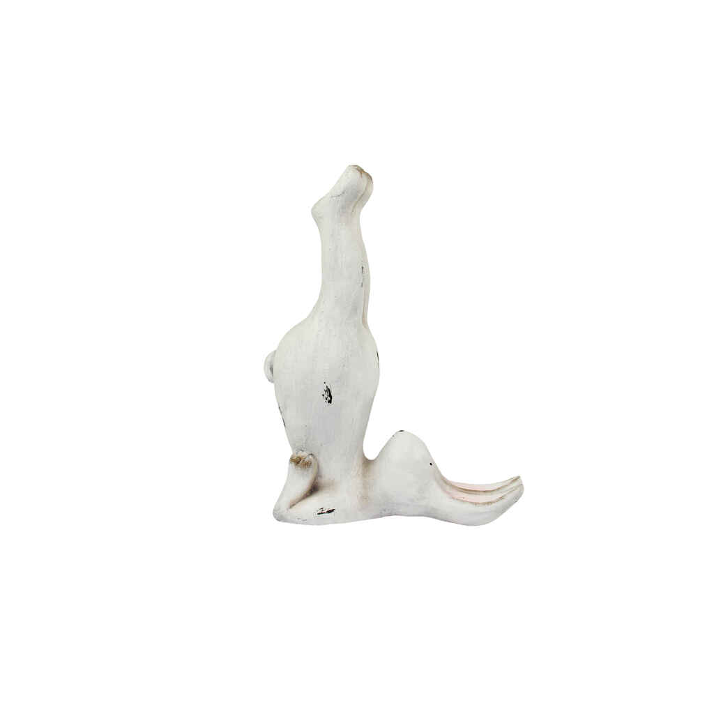 Yogapupu