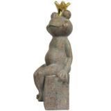 Koriste sammakkoprinssi 30,5 cm