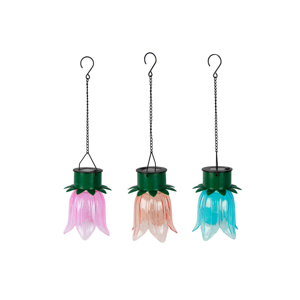 Solar valo kellokukka lajitelma