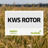 KWS Rotor hybridi syysruis 500kg