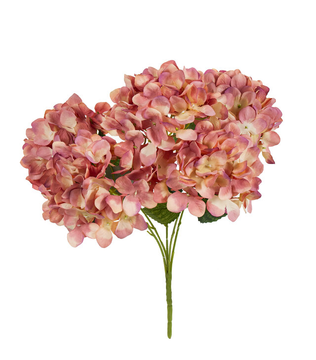 Hortensia vanha rosa 48 cm