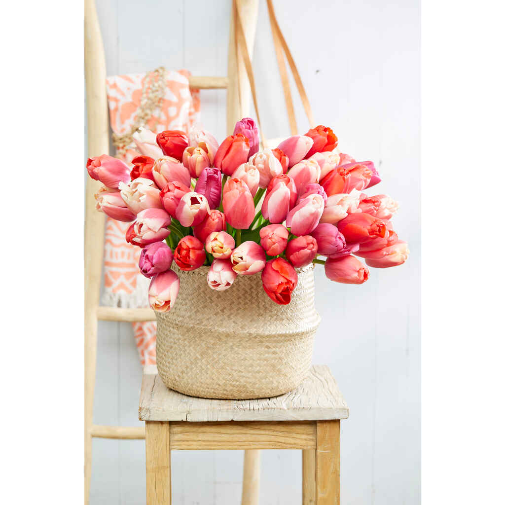 Tulppaanilajitelma Pride Bouquet