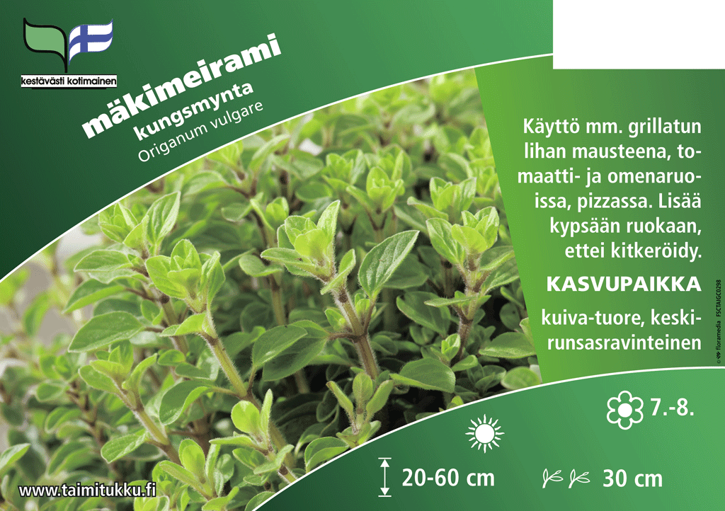 Yrtti Mäkimeirami Origanum Vulgare