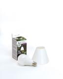 Kasvivalo 15 W LED-lamppu varjostimella
