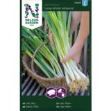 Pillisipuli, 'Long White Ishikura', kylvönauha